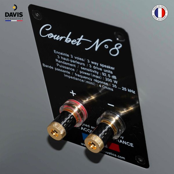 Loa đứng Davis Acoustics, Model: Courbet No. 8