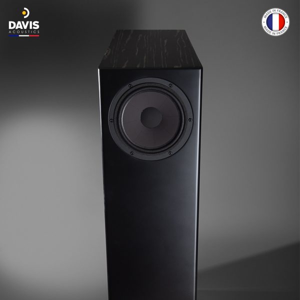 Loa Hi-End Davis Acoustics, Model: MV ONE MASTER