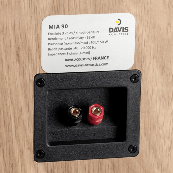 Loa đứng Davis Acoustics, Model: MIA 90