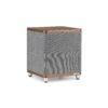 Loa Subwoofer Ruark, R1S