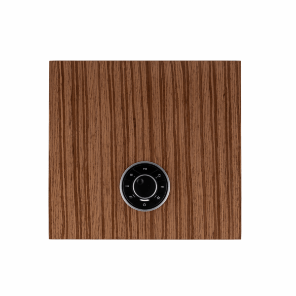Amply kèm chức năng Stream nhạc R610