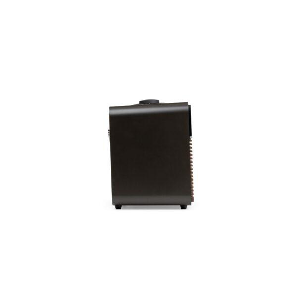 Loa tích hợp chức năng Stream nhạc Ruark R2